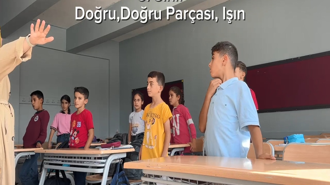 Doğru, Doğru Parçası ve Işın Etkinliği